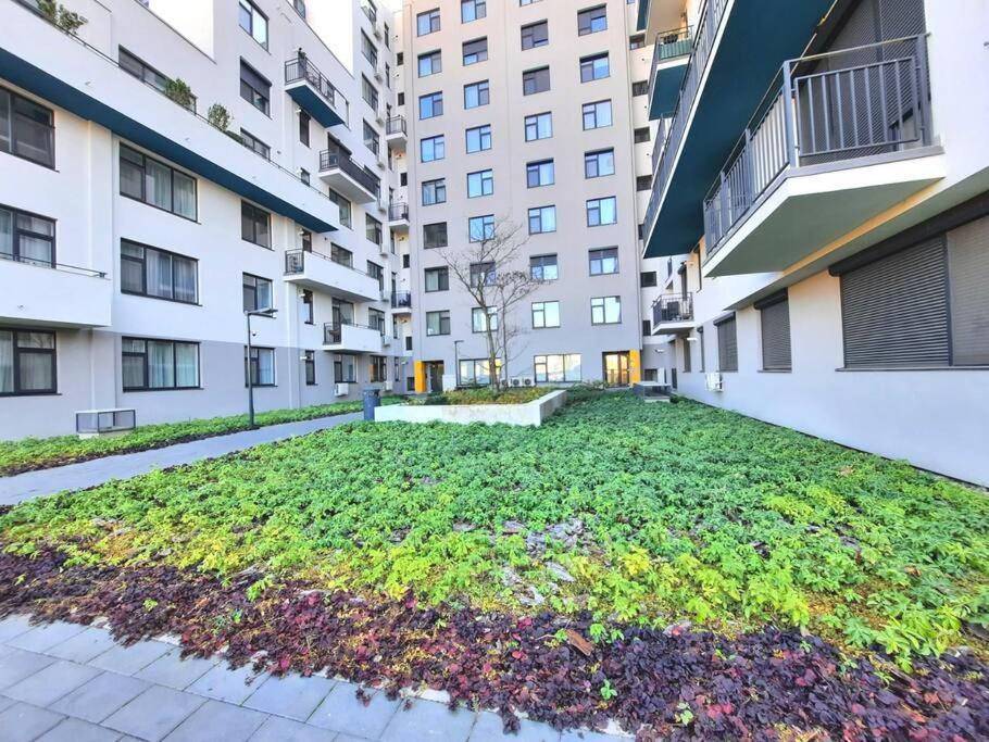 Beautiful Panoramic Central Apartment - City Of Mara Temeşvar Dış mekan fotoğraf