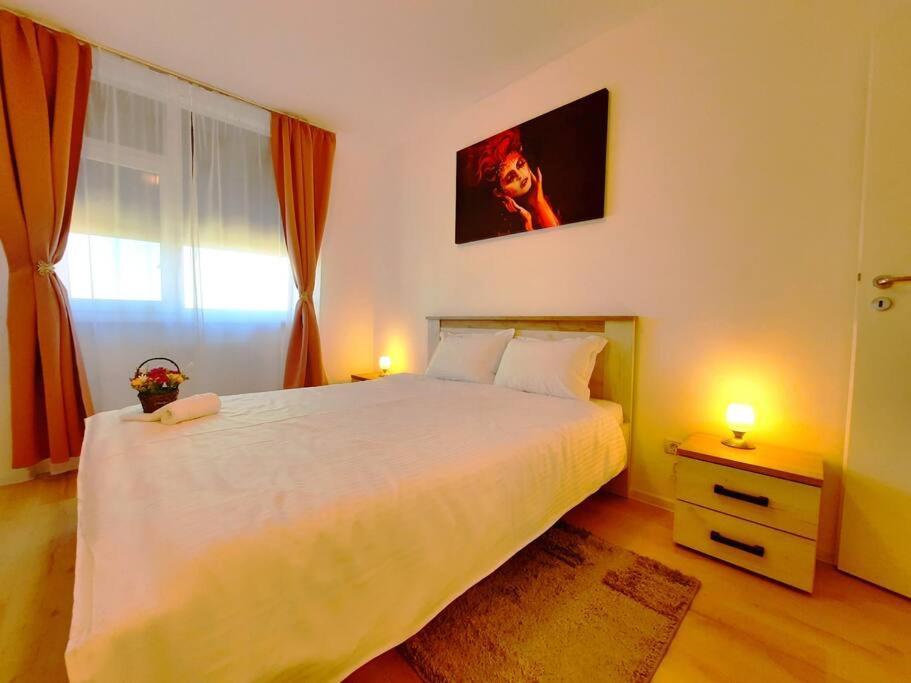 Beautiful Panoramic Central Apartment - City Of Mara Temeşvar Dış mekan fotoğraf