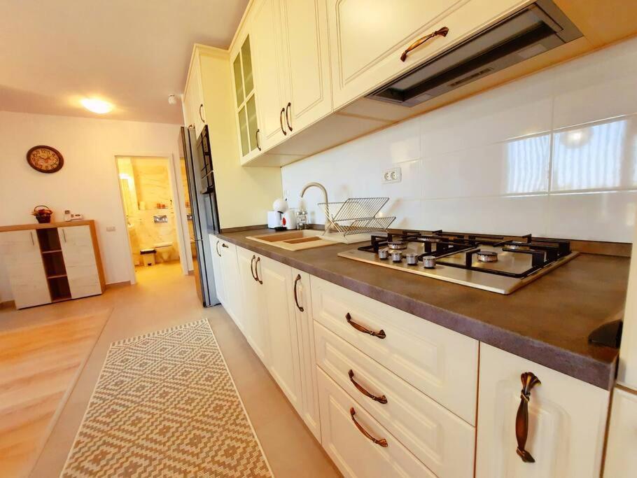 Beautiful Panoramic Central Apartment - City Of Mara Temeşvar Dış mekan fotoğraf
