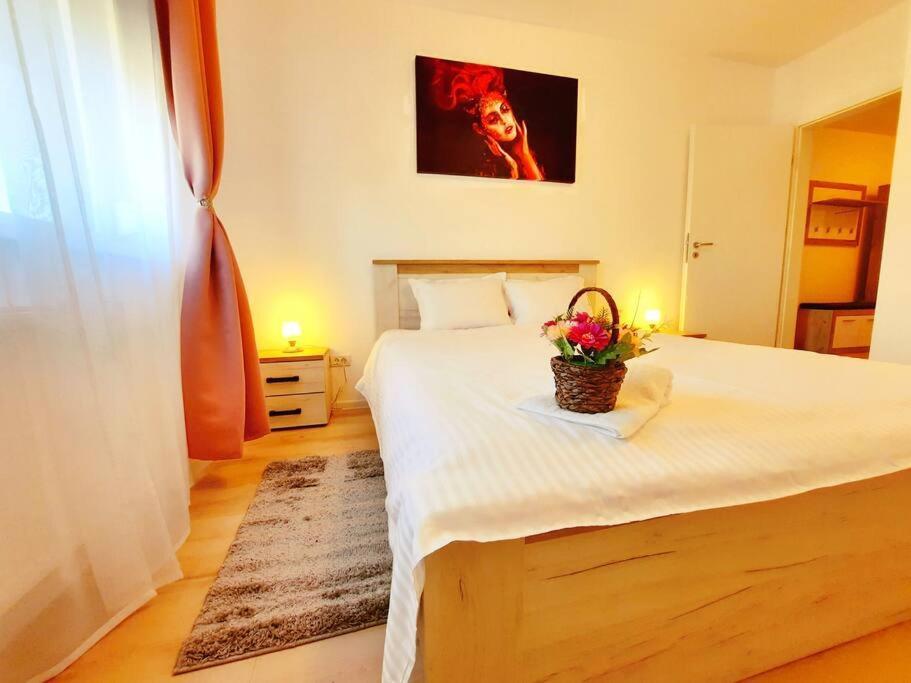 Beautiful Panoramic Central Apartment - City Of Mara Temeşvar Dış mekan fotoğraf